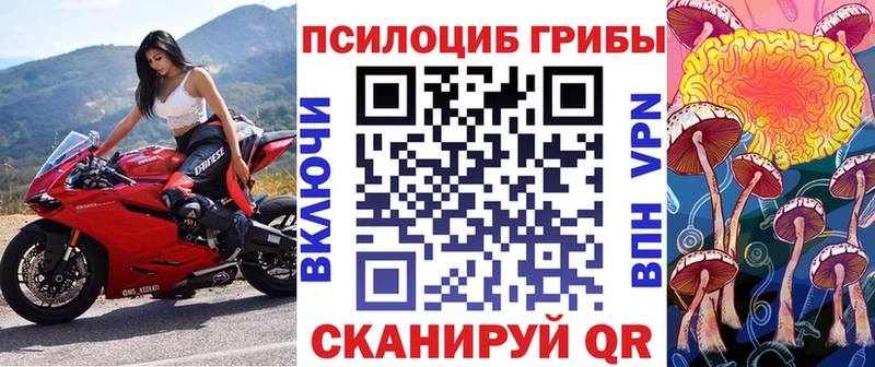 купить наркоту  Судак  Псилоцибиновые грибы мицелий 