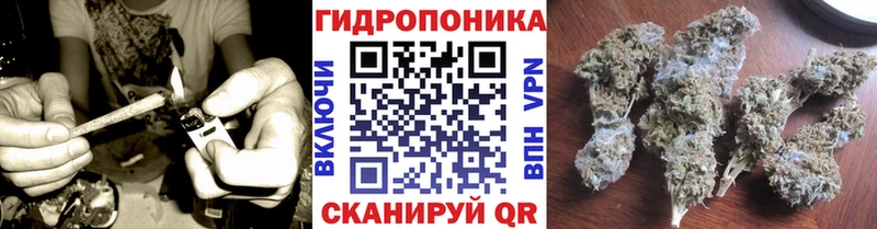 Бошки марихуана семена  shop телеграм  Судак  ОМГ ОМГ вход 